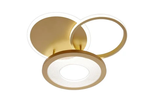 Люстра потолочная с пультом LED LAMPS 81300 Natali Kovaltseva золотая на 1 лампу, основание золотое в стиле хай-тек с пультом кольца фото 2